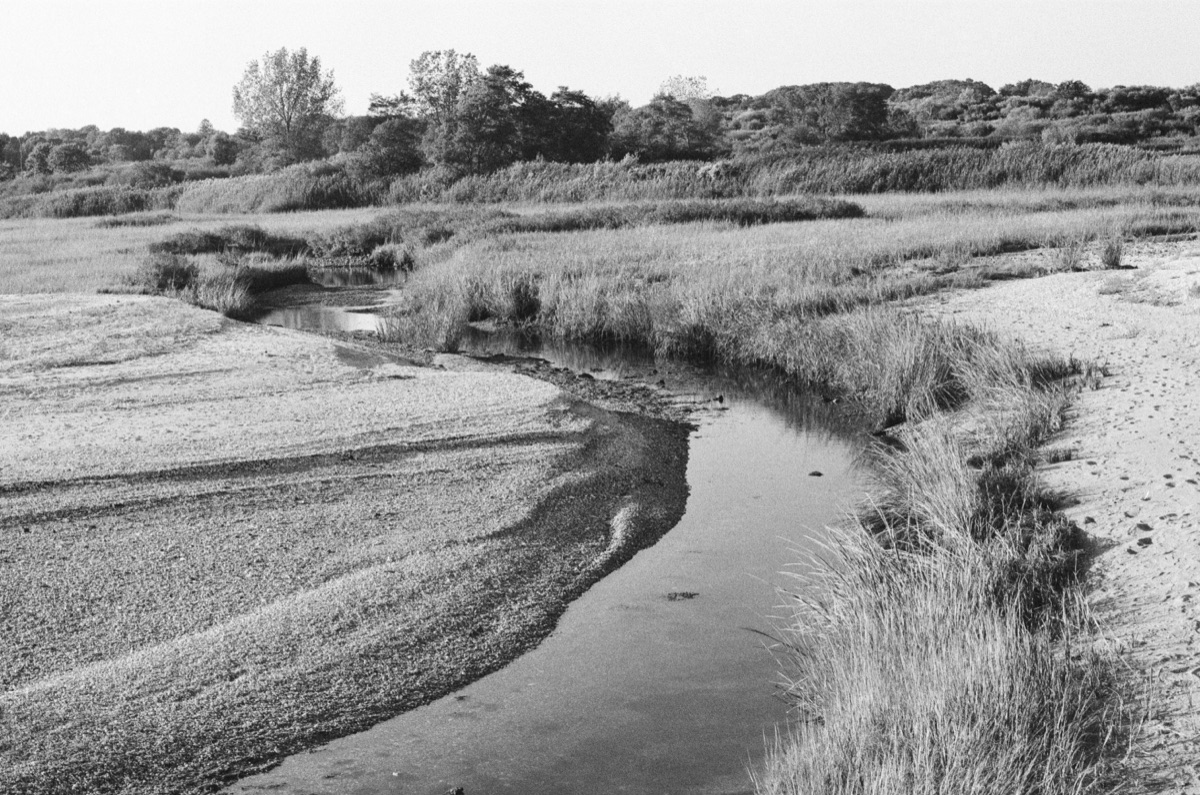 The Marsh, Milford. Kodak T-MAX 400.